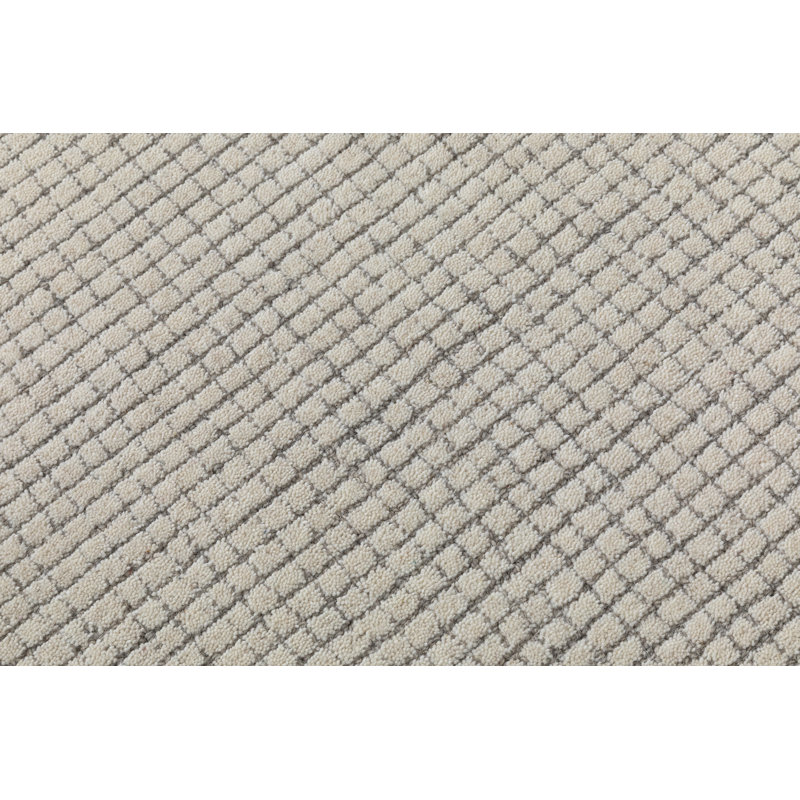 Daila Wander Area Rug, Rectangle 5' x 8', Ivory / Gray