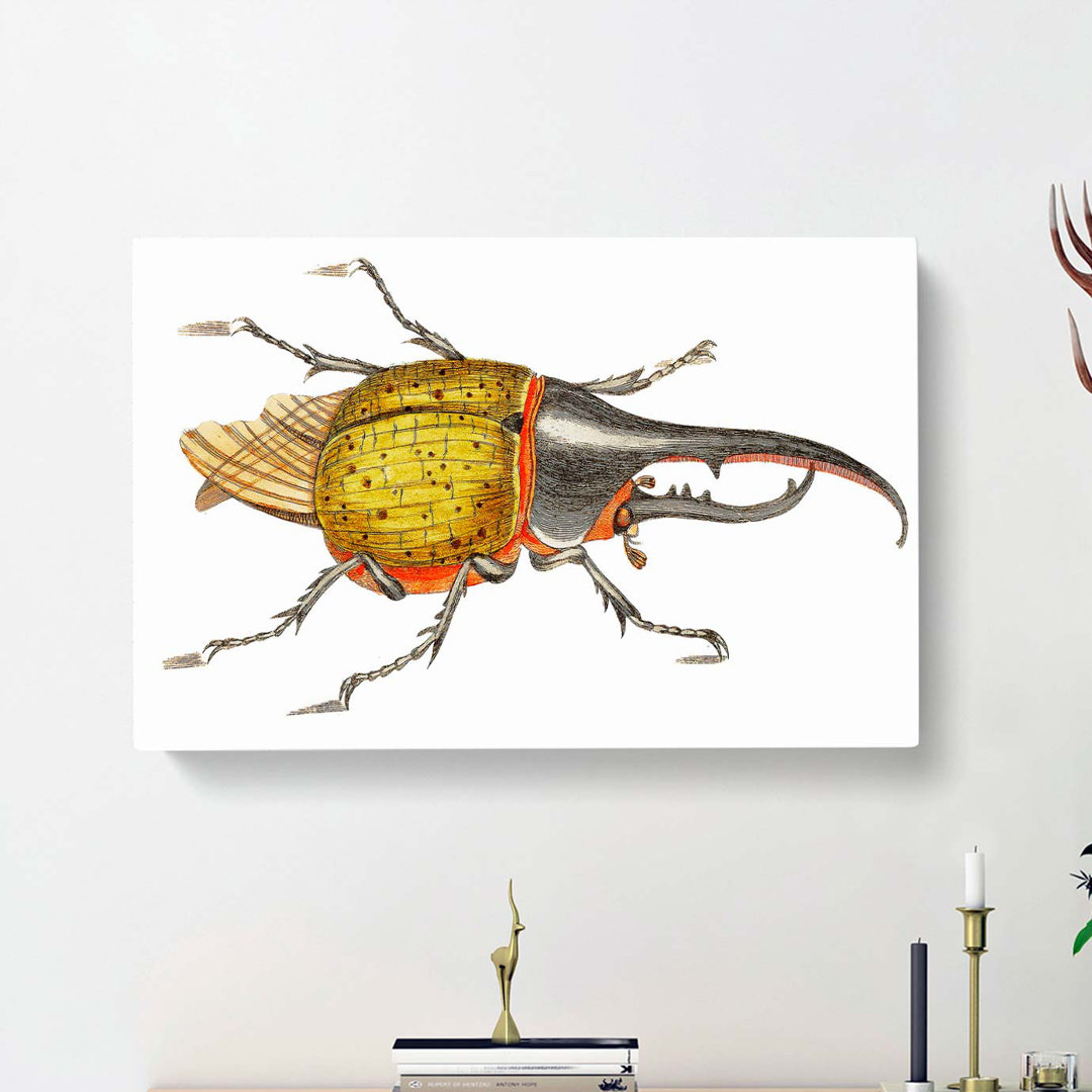 Hercules Beetle by George Shaw - Wrapped Canvas