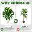120cm Tree