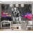 Animal Wallpaper Wall Mural - DJ Dog-863094625