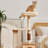 Simple Style Multi-functional Cat Tree