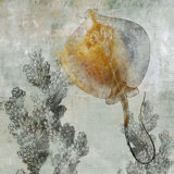 Coral Reef II Print by Sofia Fox