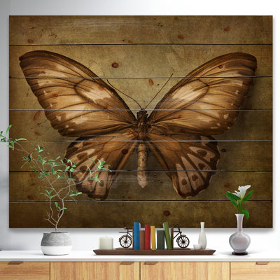 Papillon rétro-reproduction d’art