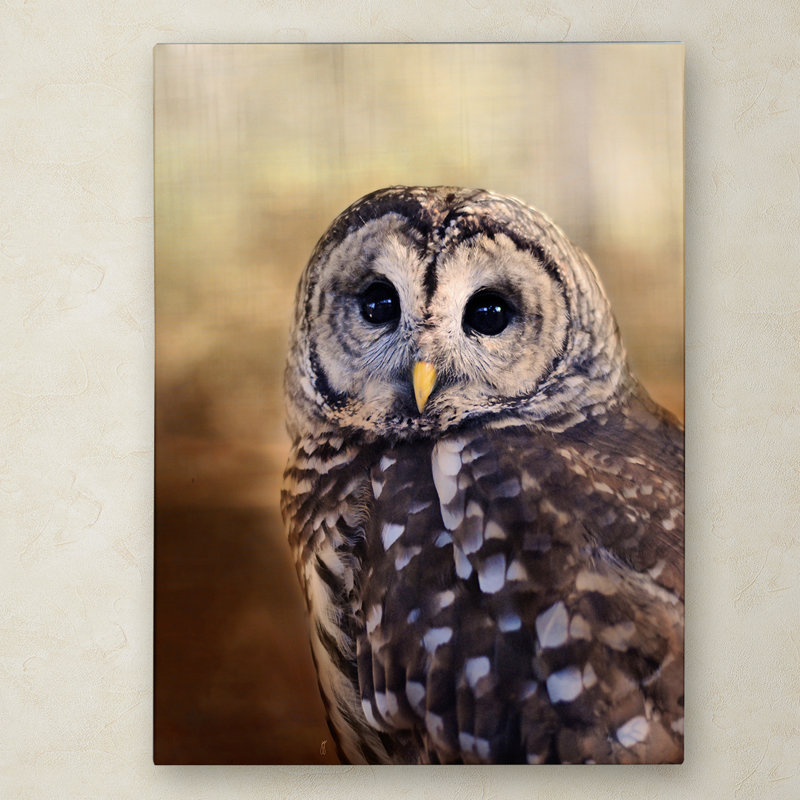 «The Wise Owl» de Vidur, impression sur toile tendue, H 19 po x l 14 po