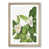 Oak Framed selected