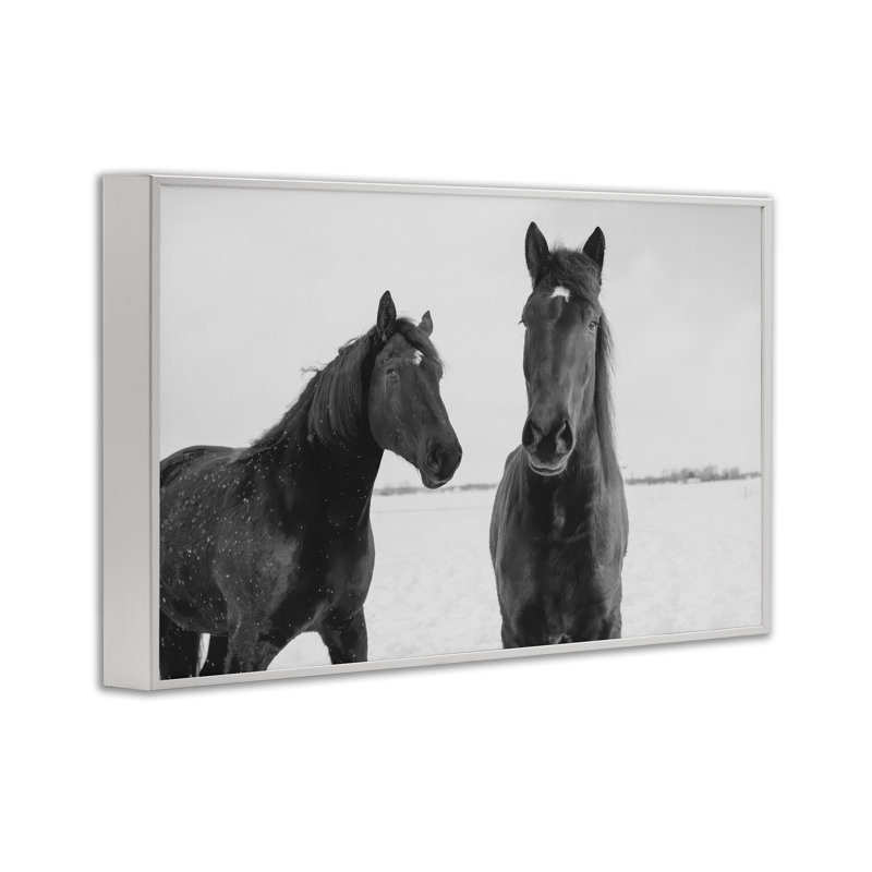 Draisma Hirdes Winter Horses, giclée encadrée, design par Amy Carroll, H 16 po x l 24 po