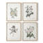 Impression florale rétro CXLIV, ensemble de 4-1069554817-1069554816