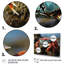 Crab Coastal Scavenger - Animals Wall Decor-1997349784-1997349785