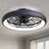 Juneann 20'' Flush Mount Ceiling Fan with LED Lights