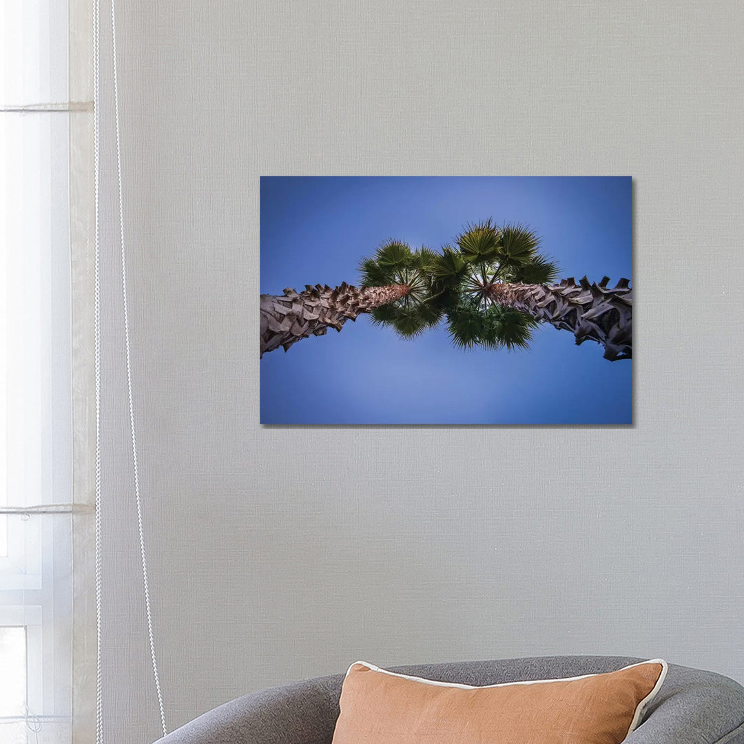 Pine Cones On The Tree by Glauco Meneghelli - Wrapped Canvas Gallery-Wrapped Canvas Giclée