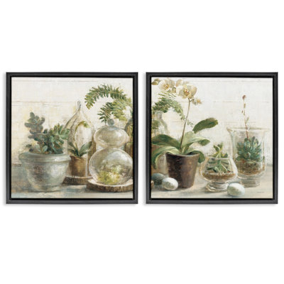 «Succulent House Plants Country Charm», ensemble de 2 toiles flottantes encadrées par Danhui Nai