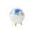 White/Blue est en rupture de stock