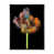 Black Floater Framed