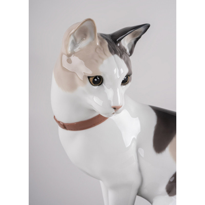 Cat And Mouse Game