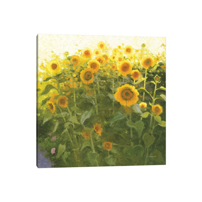 Sunflower Field 1 Piece Wrapped Canvas Painting