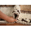 Tapis de couloir oriental Anatolian Natural Dye 4 x 11