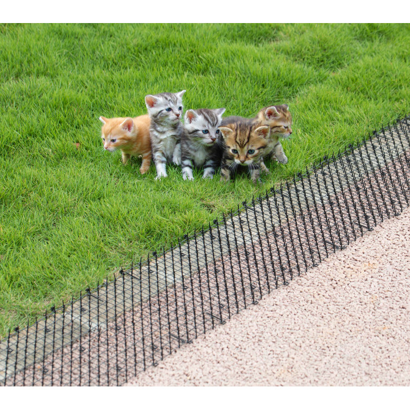 Rockmart Plastic Pet Barrier