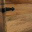 Accent Trunk