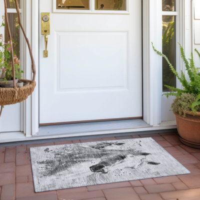 Tapis gris intérieur / extérieur lavable à la machine Cinead ACN1719