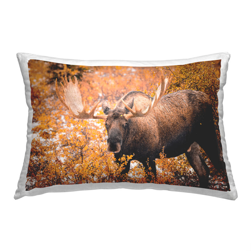 Coussin décoratif imprimé "Moose parmi les feuilles d'automne" par Daniel Sproul