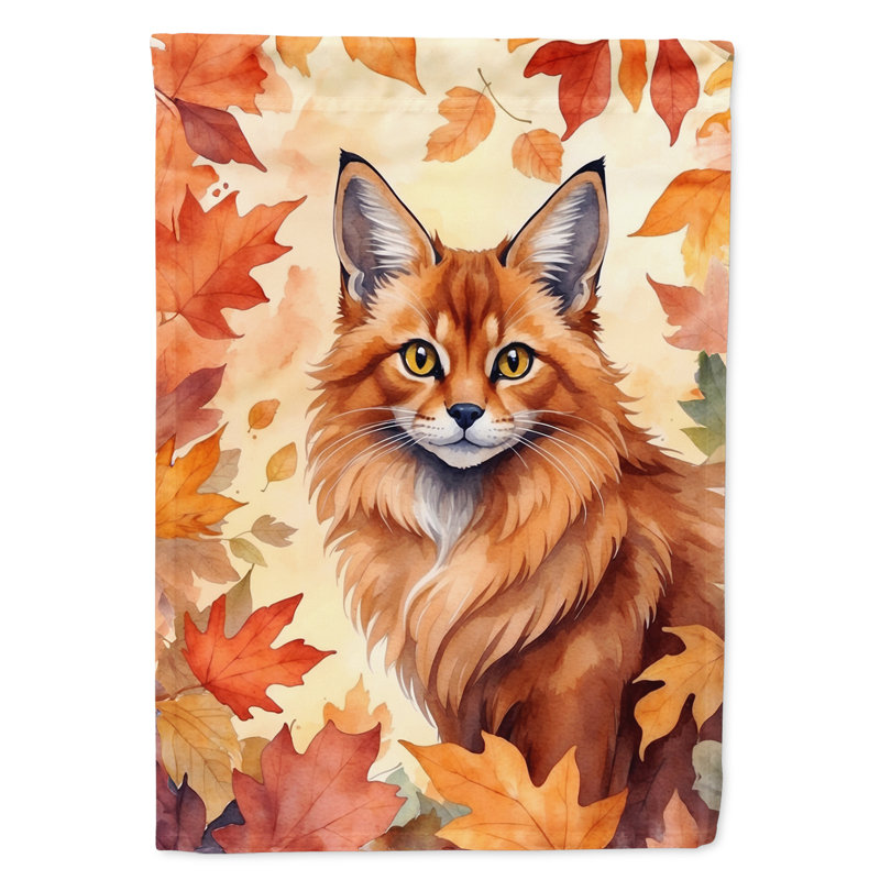 Chat en feuilles d'automne, Somali