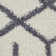 Calion Performance Geometric Indoor Rug