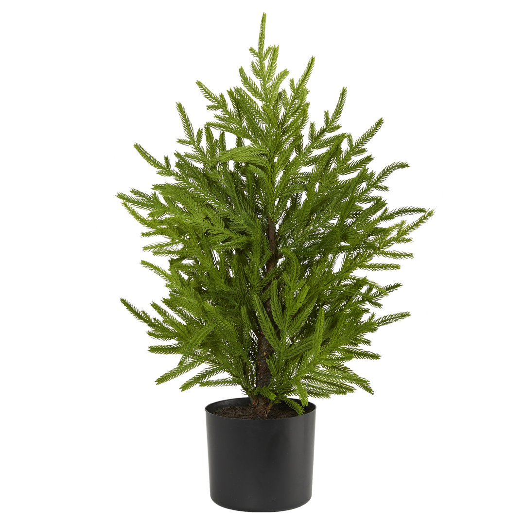 2' Green Pine Artificial Christmas Tree The Holiday Aisle® 