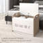 Pawan Blanket Chest