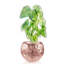 Handmade Pot Planter-52454941