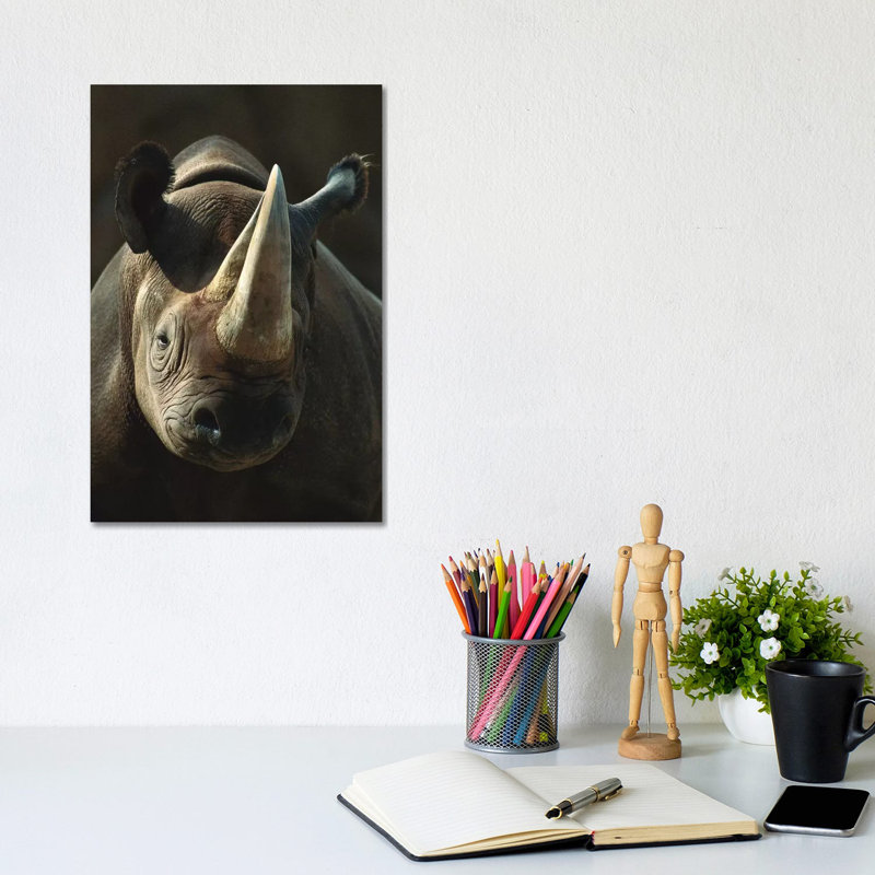 Rhinoceros Portrait, Native To Africa by ZSSD - Wrapped Canvas Print, 30.48cm H x 20.32cm W x 1.905cm D