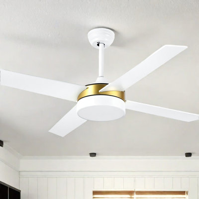 Mercer41 4 - Blade Ceiling Fan with Light and Remote