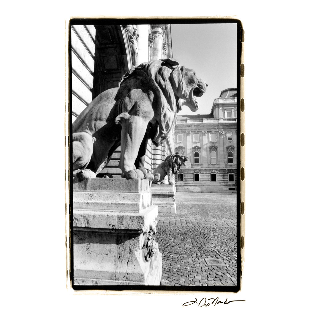 Leinwandbild Standing Guard Royal Palace von Laura DeNardo