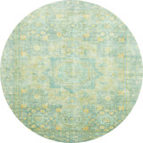 Oriental Indoor Rug