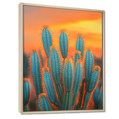 Mariques, Mexique, cactus au coucher du soleil - Cactus, impressions sur toile