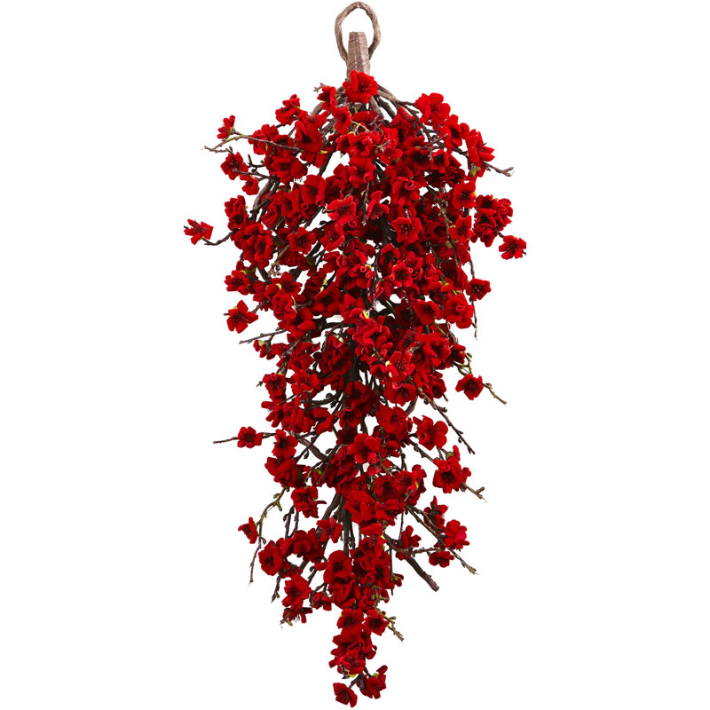 Tiges de fleurs de plumes