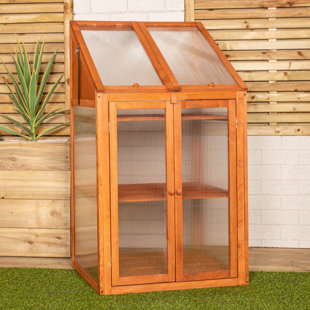 Samuel Alexander 2Ft. W x 2Ft. D Mini Greenhouse 