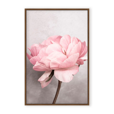 «Nature Inspired Peony» par Kathrin Pienaar - photographie encadrée sur papier
