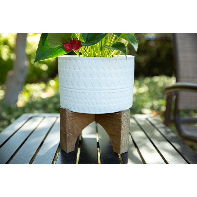 Beartree Ceramic Pot Planter