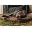 Coussin Ameeliah-645648903-564069479