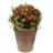 Metal Pot Planter