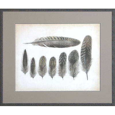 Vintage Feathers VIII - Peinture encadrée sur papier