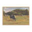 «Resting Cows I» par Stephen Calcasola, reproduction d'art-2054170496-2054170498-2054170509