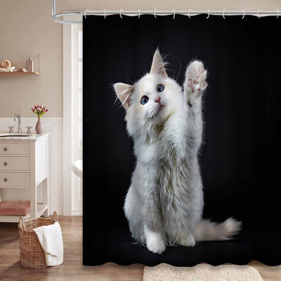 Blue Cat Kitten Sitting Paw Black Shower Curtain with 12 Hooks