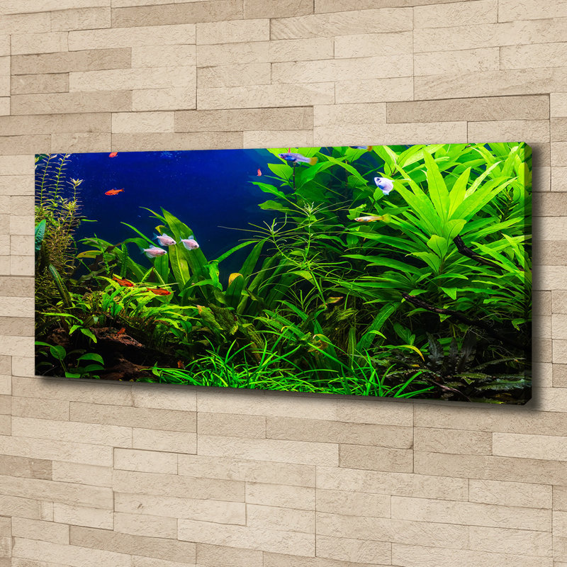 Fish In The Aquarium - Wrapped Canvas Print