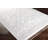 Oriental Indoor Rug-1074846170