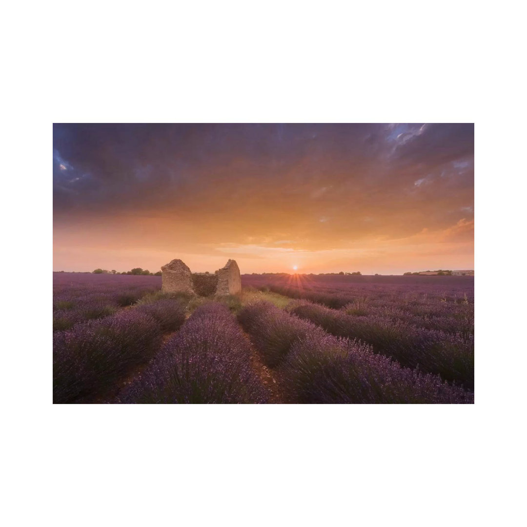 Lavender Fields of Provence I by Daniel Kordan - Wrapped Canvas Photograph