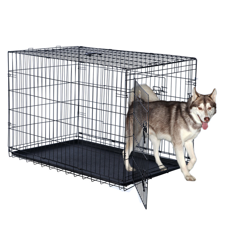 Chenil pour chien avec portes doubles PETMAker, H 30 po x P 27 po x l 42 po