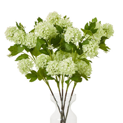 Anastasija Arrangement