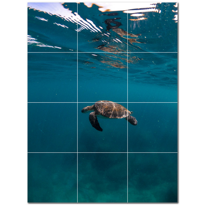 Turtle Photo 4.25'' x 4.25'' Satin Ceramic Decorative Mural