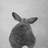 Little rabbit from behind - Bedroom Pets poly twill throw